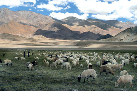 046ValleyNomads72dpi